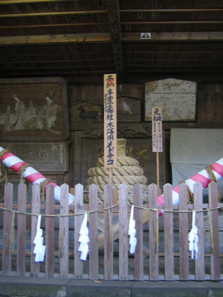 �ܽ���ҡ��濴��