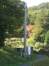 ���ܰ�Ƿ����