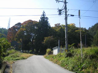 ��ˬ��Ҿ�����ܡ�ʾ��������