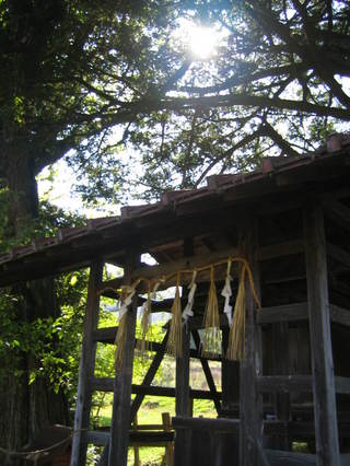 ��Ƭ��ҵܻ����Ҥ�Ĥ�