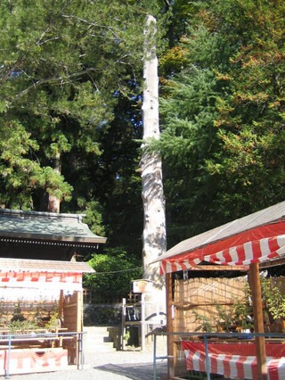 ��ˬ��Ҳ��ҡ����ܰ�Ƿ����