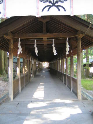 �������礫�鸫���۶�