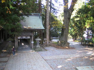 ��ˬ��Ҿ���ܵܡ�����