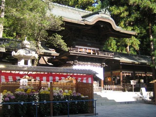 ��ˬ��Ҳ��ҽ��ܡ�ʾ����