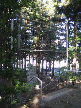 ��ζ�°������