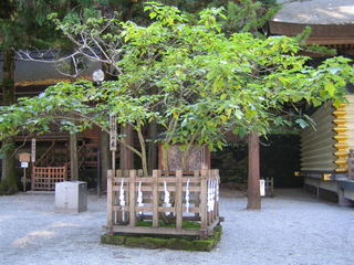 ����ܵܤγ����