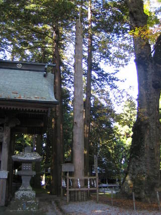 ��ˬ��Ҿ�ҡ��ܵ���Ƿ����