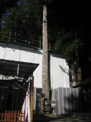 �յܰ�Ƿ����