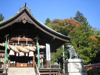 �����¤ȹ���