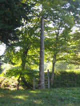 ���ܻ�Ƿ����