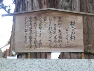 ������ο���Ω�ƻ�