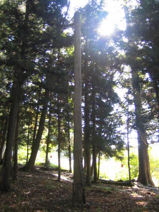 ������ҡ���Ƿ����