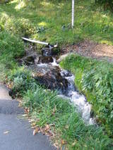 ������ή