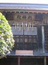 ��Ĺ����ȵ����¡����