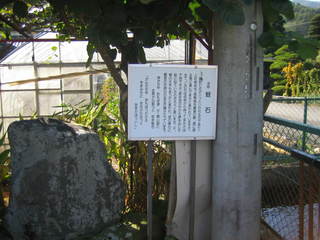 ���С�����01