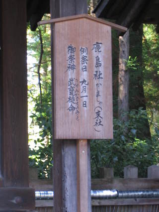 ����ҡ�����