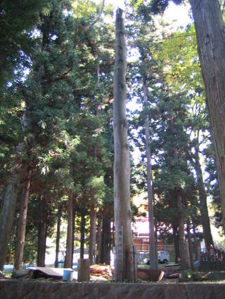 ������ҡ���Ƿ����