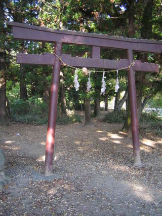 ������ҡ�Ļ��