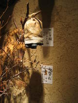 ���ʥ��ʺ�����Ŵ�ˤ���