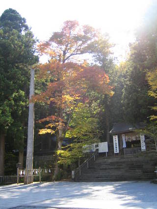 ��ˬ��Ҿ���ܵܡ�����