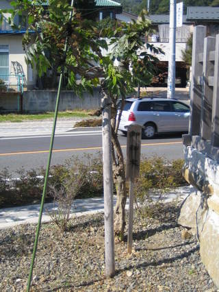 ƣ����ҡ������