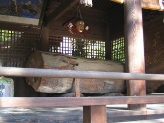 ����θ���ʤ��֤��