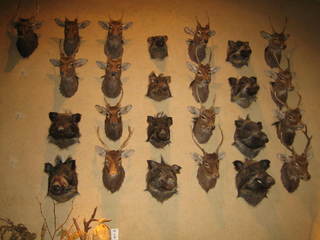 ��Ƭ�פ˻Ȥä��ä�Ƭ��