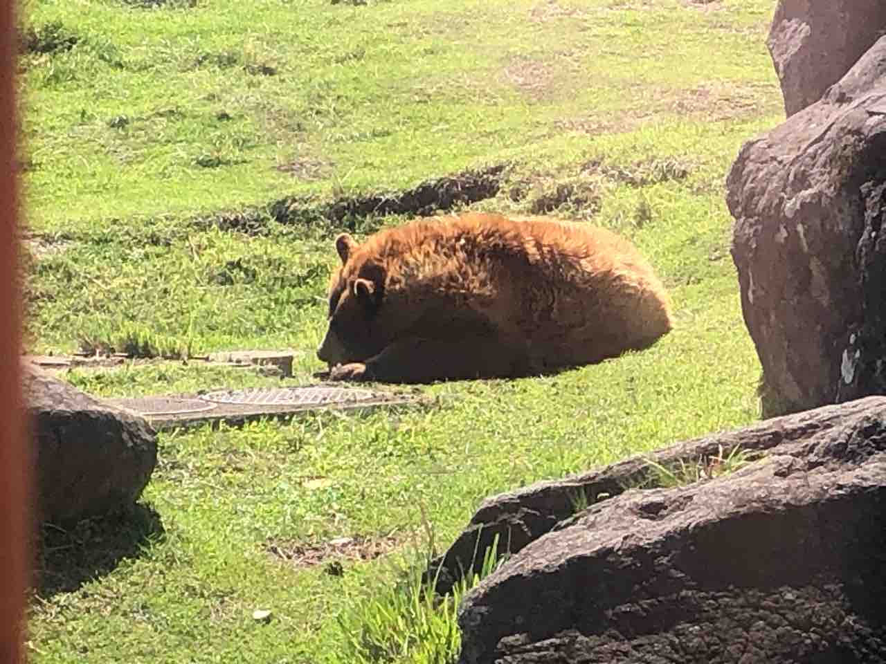 May 01 22 マスター ツートンのちょっと天使な添乗員の話