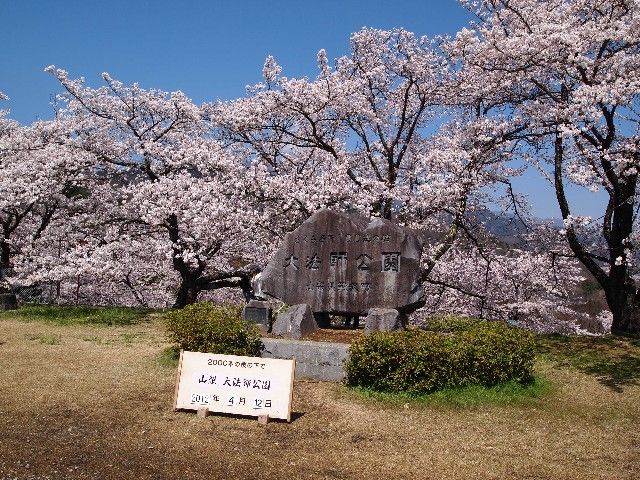 名桜を求めて 大法師公園 実相寺の神代桜 ワニ塚の桜 定年おやじの徘徊記 名桜を求めて 大法師公園 実相寺の神代桜 ワニ塚の桜 定年おやじの徘徊記