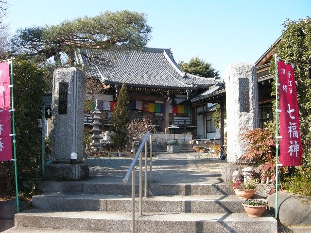 妙 心 寺 自転車
