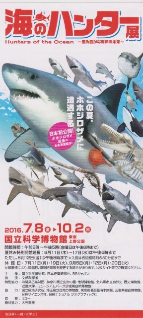 海のハンター展を見に行く 定年おやじの徘徊記