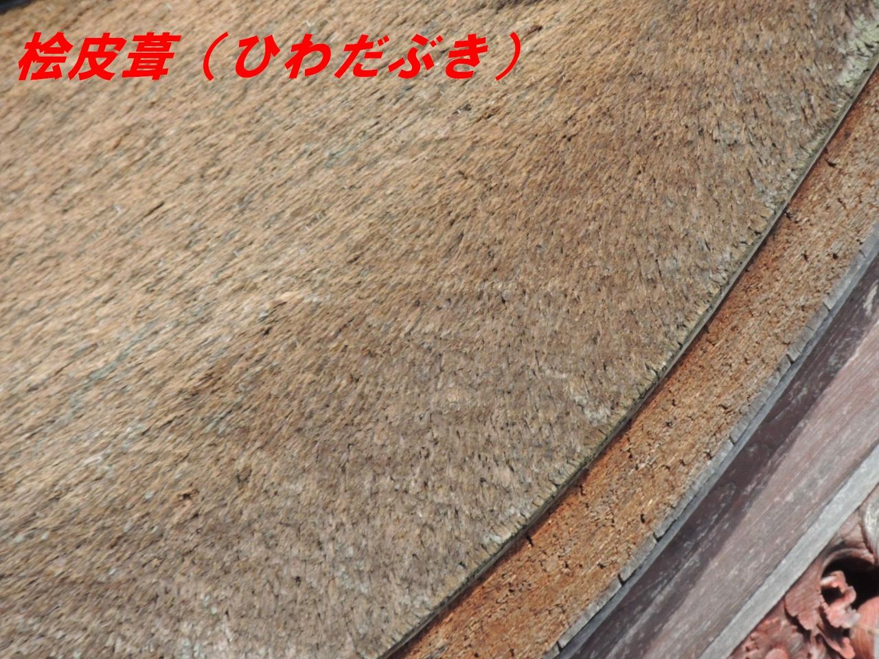 高津柿本神社 本殿 を観賞 桧皮葺 唐破風造の向拝 様式 中山造 益田市の歴史 風景体験レビュー 高津柿本神社 本殿 を観賞 桧皮葺 唐破風造の向拝 様式 中山造 益田市の歴史 風景体験レビュー