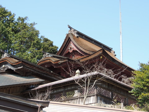 高津柿本神社　神殿