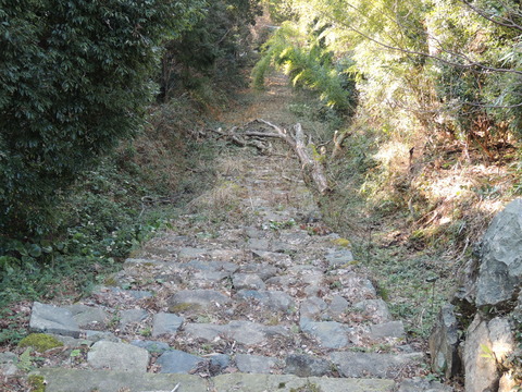 益田市の佐毘売山神社　石段