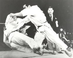 岡野小内