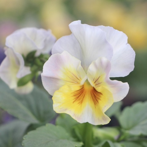 D4657104-D310-4444-8F6C-A166E0E41910