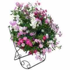 833B35F2-837D-4AC2-B817-45F0D712EAB5