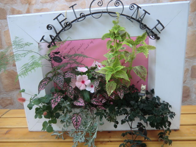 花はなフレーム寄せ植え ８月作品 静岡 フラワーギフト マスダグリーン