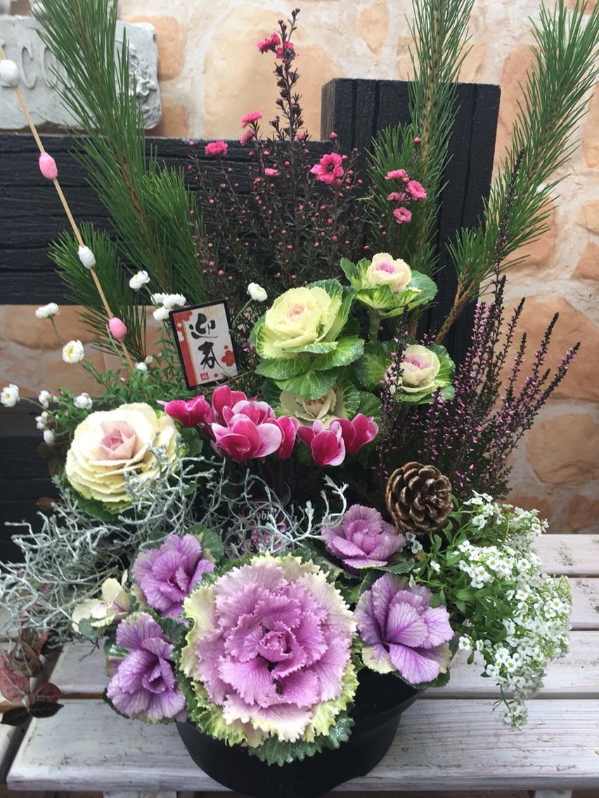 葉牡丹を主体にしたお正月用寄せ植え作成ワークショップ開催 静岡 藤枝市の花屋マスダグリーン 社長のブログ
