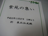 紫苑