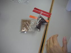 s-ハイビスカス