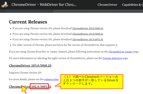 seleniumインストール6