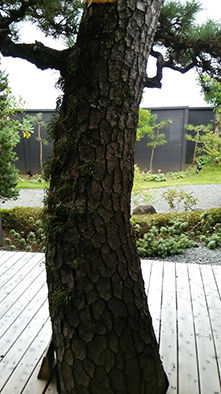 2-(2)