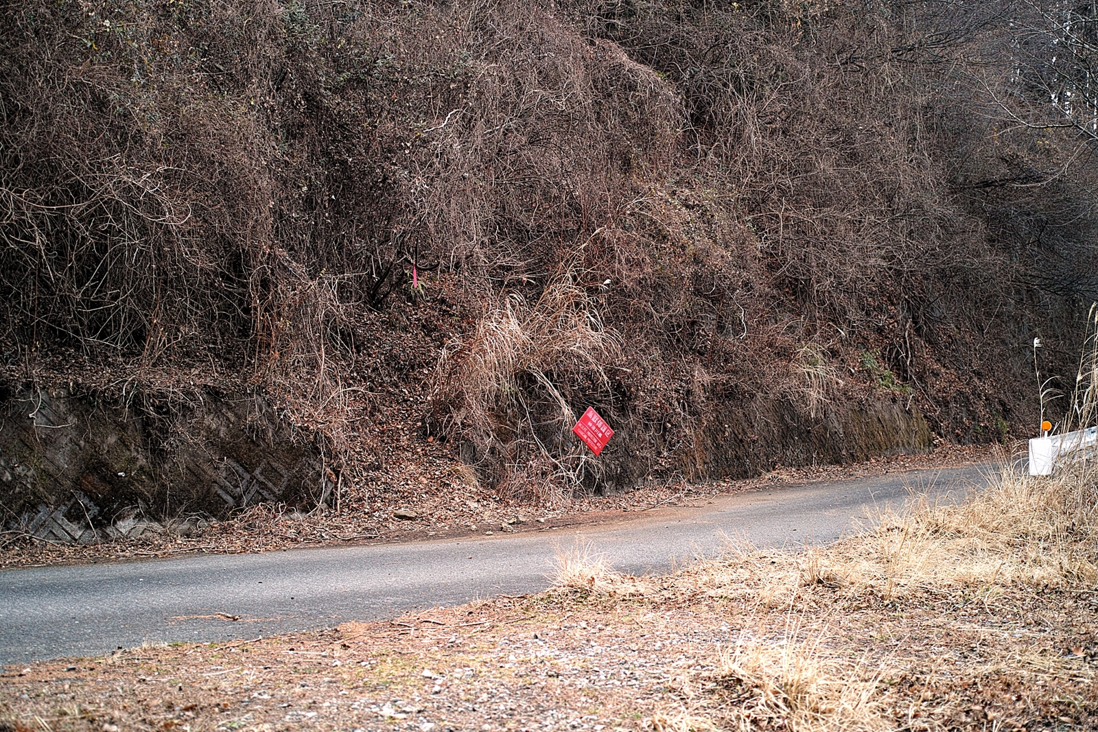 丹沢 葛葉 くずは の泉 三ノ塔 ニノ塔尾根コース Masyao