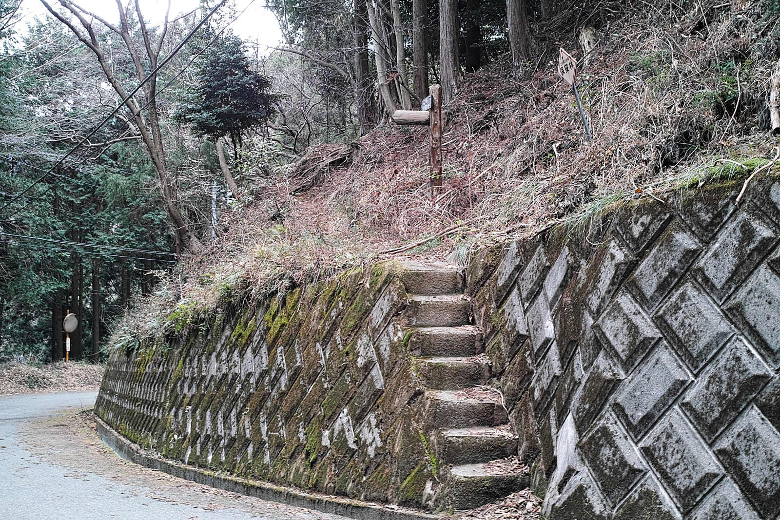 丹沢 葛葉 くずは の泉 三ノ塔 ニノ塔尾根コース Masyao