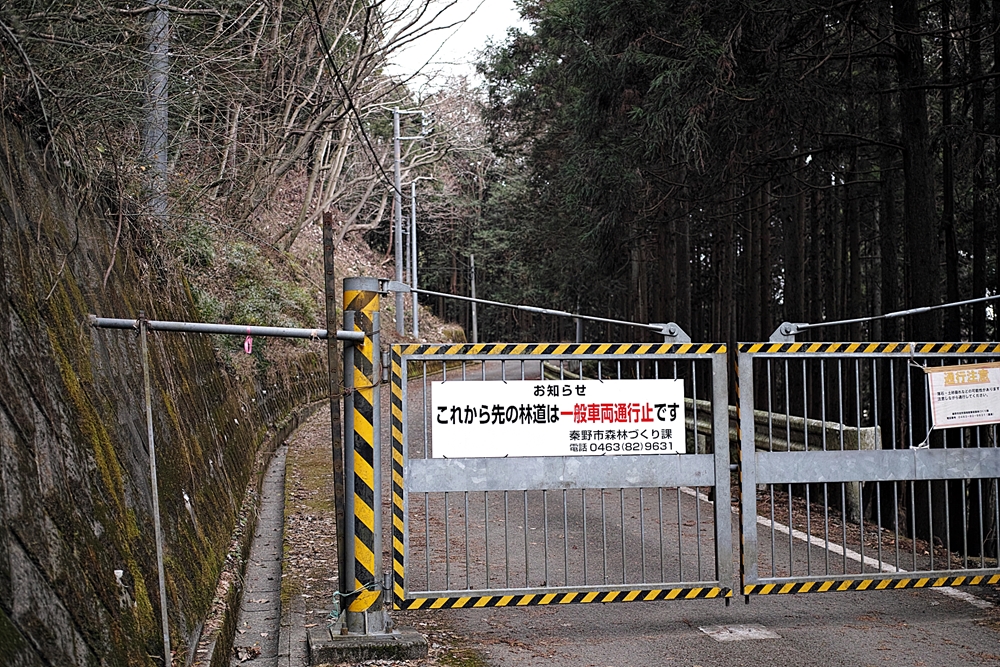 丹沢 葛葉 くずは の泉 三ノ塔 ニノ塔尾根コース Masyao