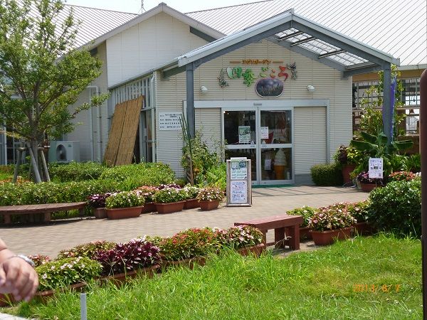 山口県 花の海 へ 寄せ植え体験もできる場所 今日も良い一日を 山口県 花の海 へ 寄せ植え体験もできる場所 今日も良い一日を