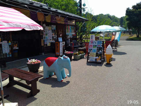 resize_IMG_20190512_094957