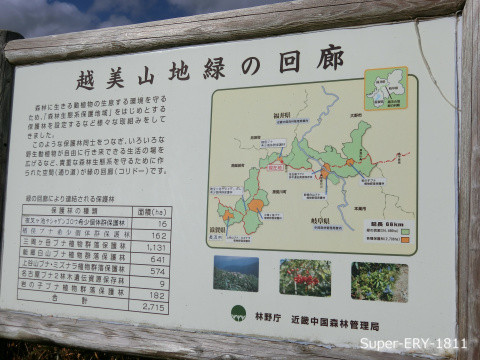 スーパーカブ_エリー号_CIMG6391