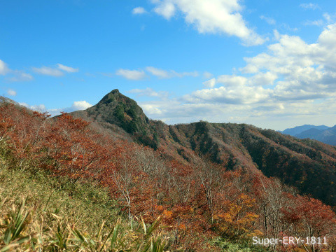 スーパーカブ_エリー号_CIMG6388